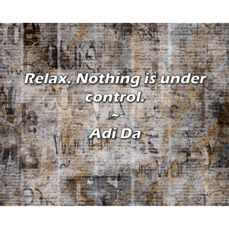 Citation artistique «Relax. Rien n'est sous contrôle». Toile tendue par Adi Da Gallery, H 28 po x l 40 po