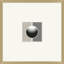 Coined Stripe 7 Print by Thom Filicia