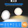6in Colour Adjustable LED Recessed Downlight with Night Light 12 Pack