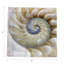 Serviettes de cocktail en satin de coton Nautilus