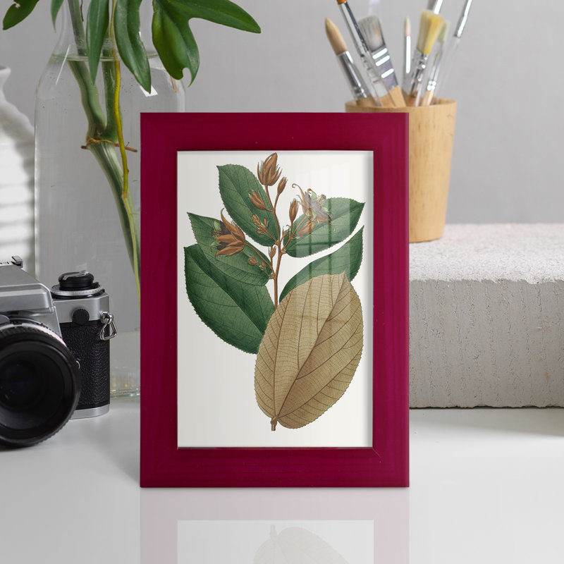 Fall Foliage III, reproduction d'art encadrée, Rouge, H 9 po x l 7 po x P 1 po