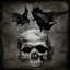 «Skull with Crows», impression sur toile-20920193-73088137-73088136