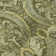 Premium Machine Washable Cerrito AMF572 Green Rug