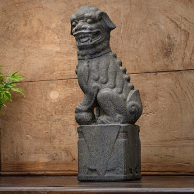 Nara Foo Dogs - Droite - femelle