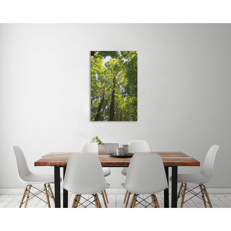 «Hardwood Forest Canopy I», toile tendue par Alan Majchrowicz, H 42 po x l 28 po x P 1,5 po