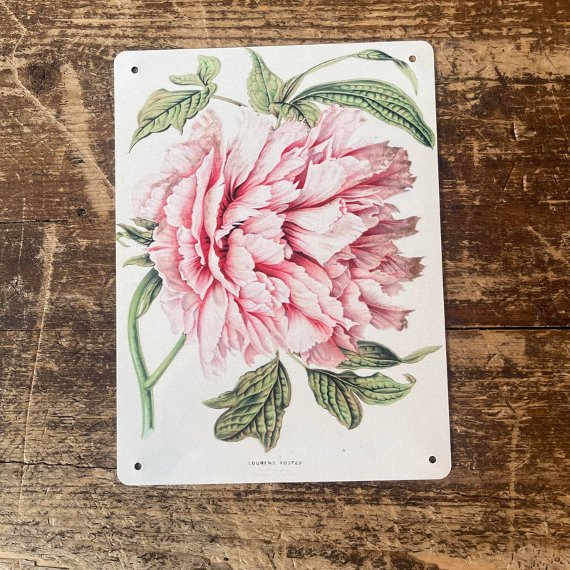 Plants & Flowers Wall Decor on Metal, 60cm H x 40cm W