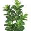 Figuier artificiel en pot
