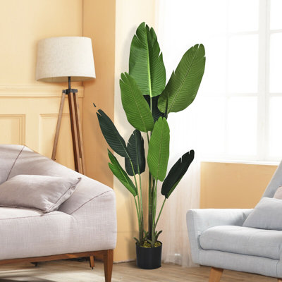 Arbre à feuilles de bananier 63,6 po en pot