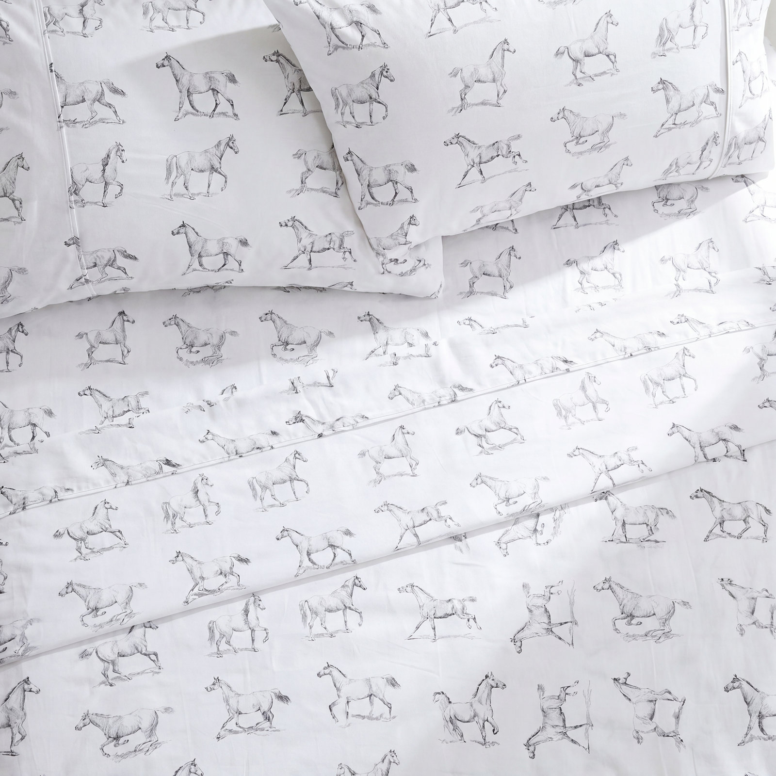 Avalea Cotton Sheet Set, Queen