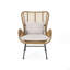 Ensemble de 2 chaises de patio en osier avec coussins Tapscott-932360519-932360516