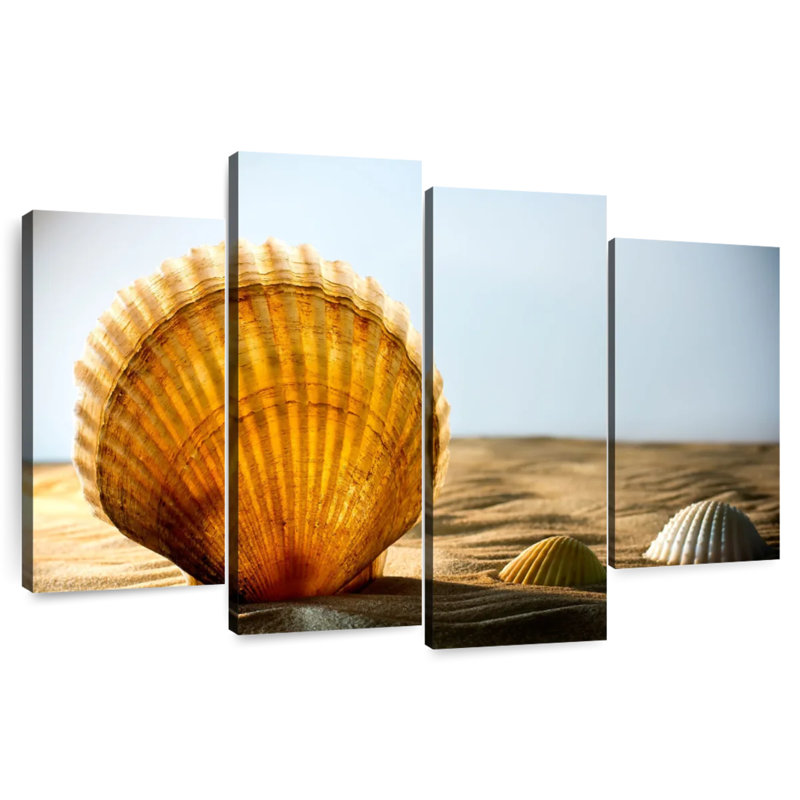 Sand Seashells, H 42 po x l 68 po