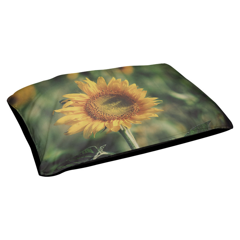Coussin de designer tournesol Burnsville, L 32,5 po x l 42,5 po, Noir