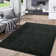 Randolph Solid Machine Washable Rug Non-Slip Area Rug for Living Room Low-Pile Rug Ultra-Thin Rug Modern Indoor Rug for Bedroom Hallway Dining Room Kitchen Office Farmhouse