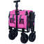 Expandable Dual-Layer Utility Wagon-125205168