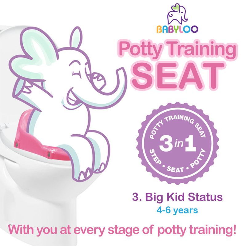 Toilet Safety Frame