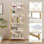 Avigayil 60cm W Standard Bookcase