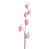 Pink est en rupture de stock