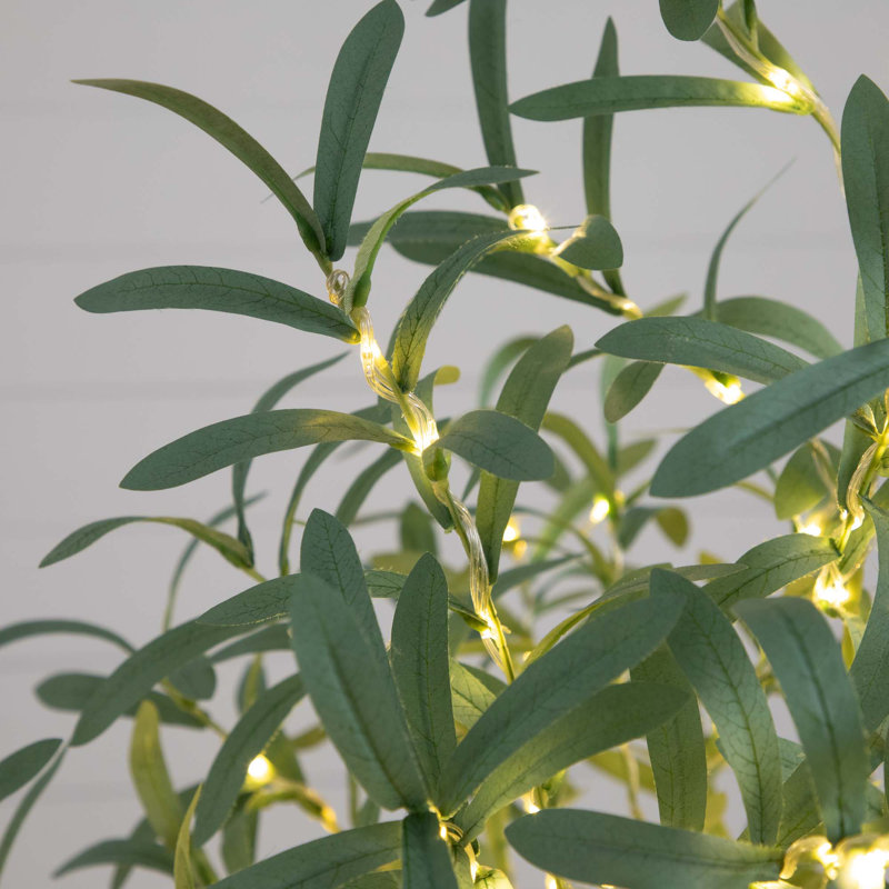 5 pi Olive artificielle éclairée avec 300 lumières DEL blanc chaud