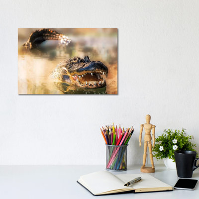 Alligator in Water with Teeth and Tail Showing 1 Piece Wrapped Canvas Wall Art