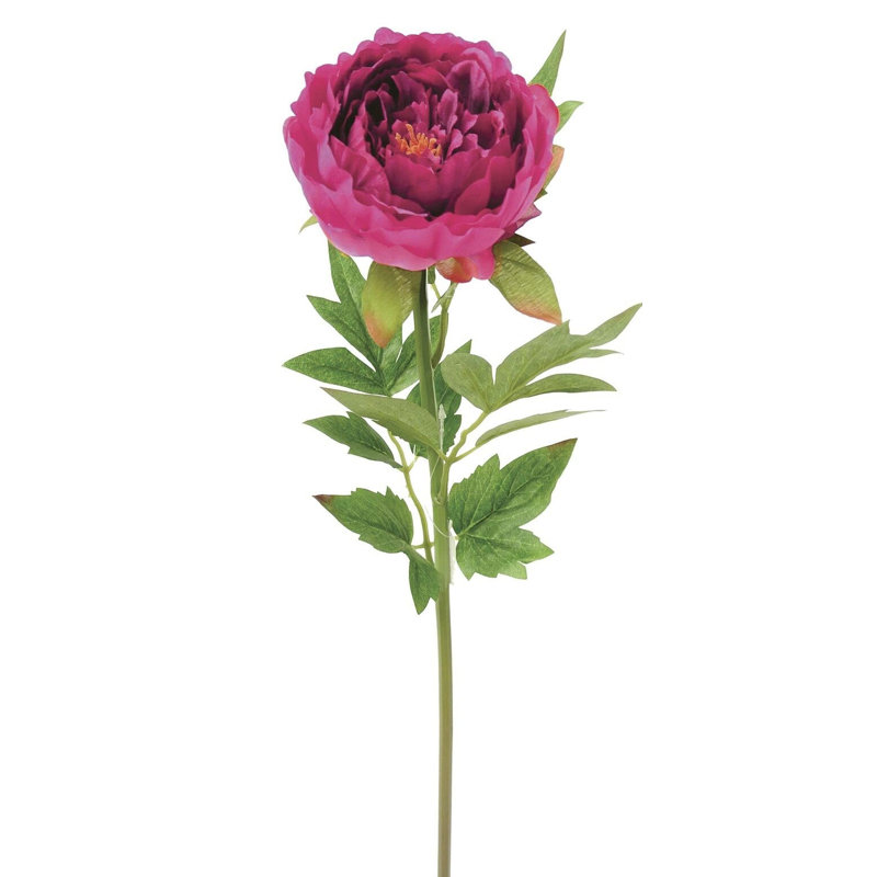 Tige de pivoine, H 24 po x l 5 po x P 5 po, Blanc