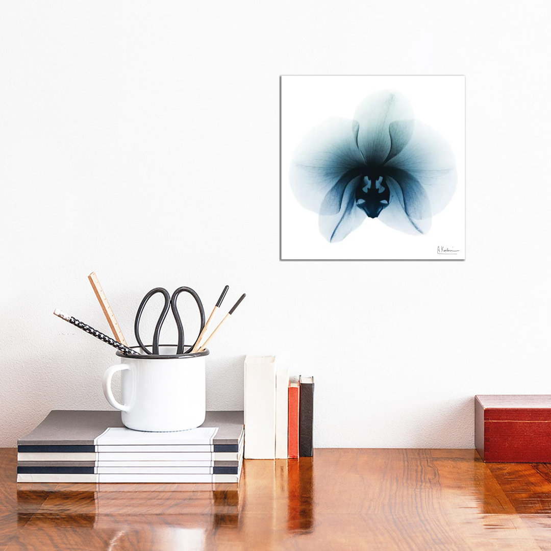 Glacial Orchid I by Albert Koetsier - Wrapped Canvas Graphic Art