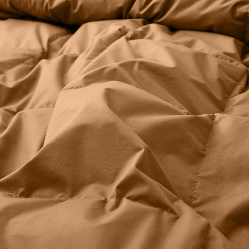 All Season Cotton Down Comforter/Duvet Insert, Brown, Twin Comforter
