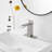 Single-handle Bathroom Faucet with Drain Assembly-79721953