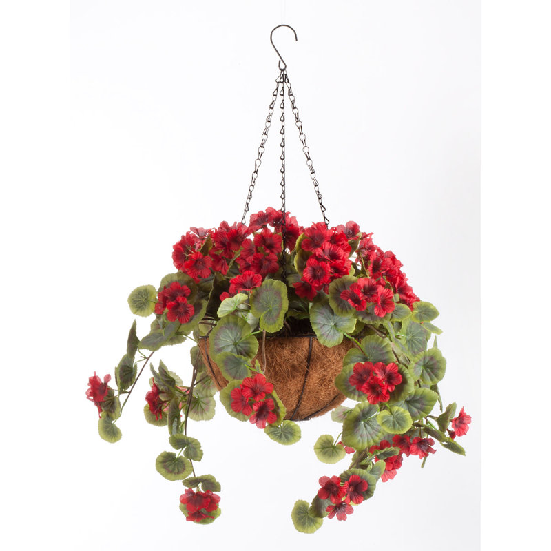OakRidge Fully Assembled Geranium Hanging Basket, Red
