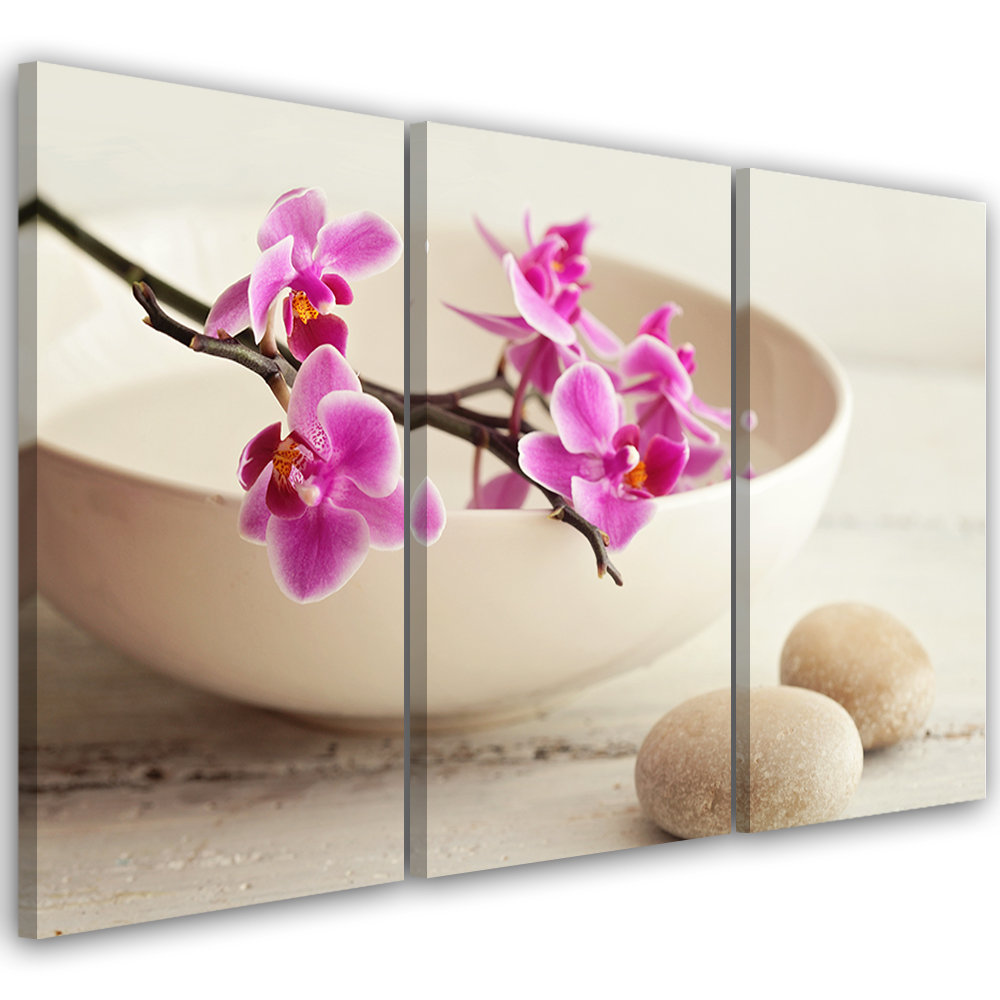 Leinwandbild Orchid Bowl Flowers Beige