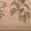 Canvas Wall Hanging