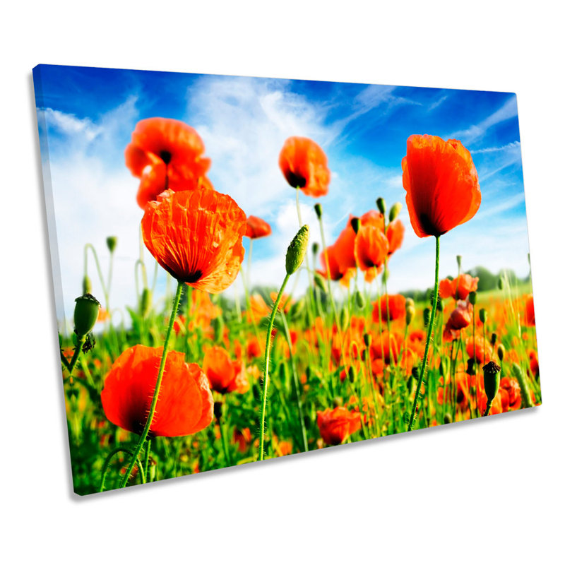 Poppy Floral Flowers Summer Field - Wrapped Canvas Art Prints, 30.5cm H x 45.7cm W D