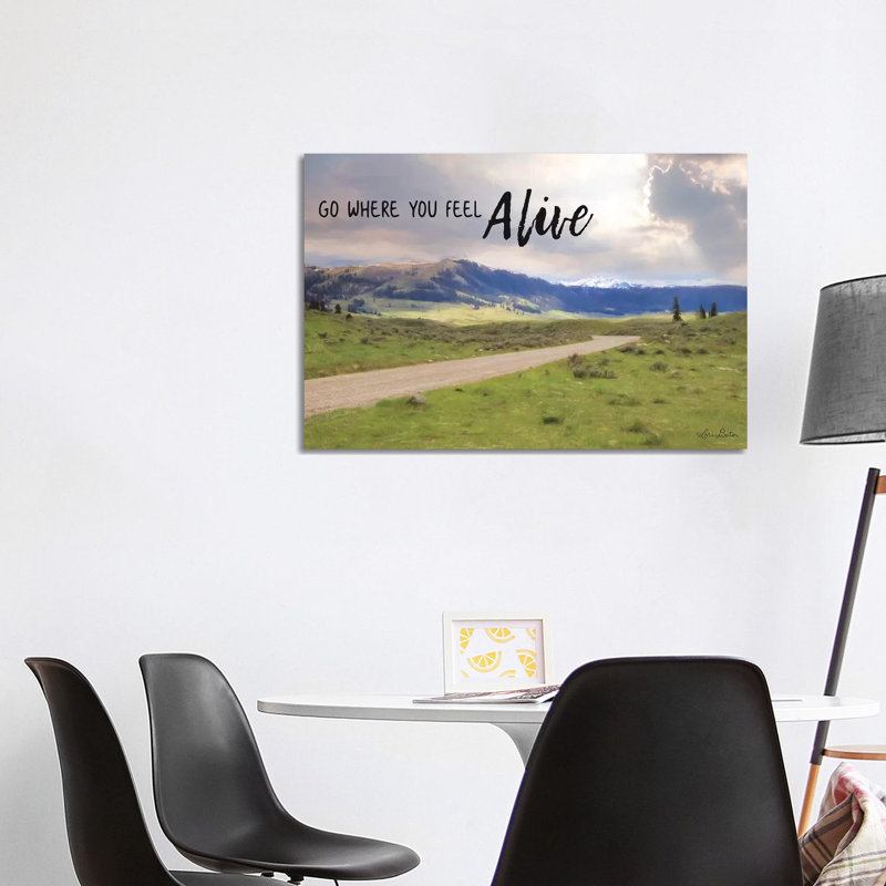 Go Where You Feel Alive by Lori Deiter - Wrapped Canvas Print, 101.6 cm H x 66.04 cm W x 1.91 cm D