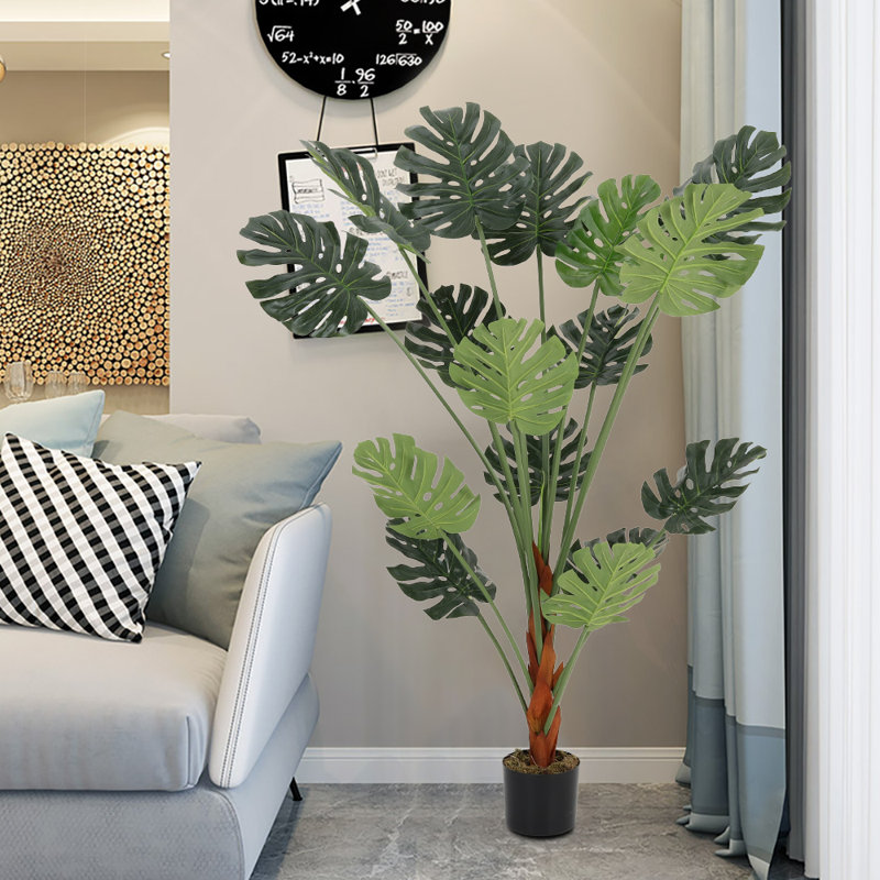 Plant, 150cm H x 50cm W x 50cm D
