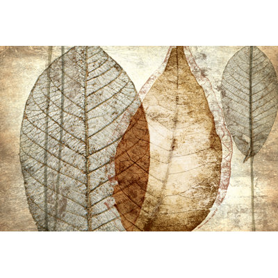 Transparent Leaves - Wrapped Canvas Painting
