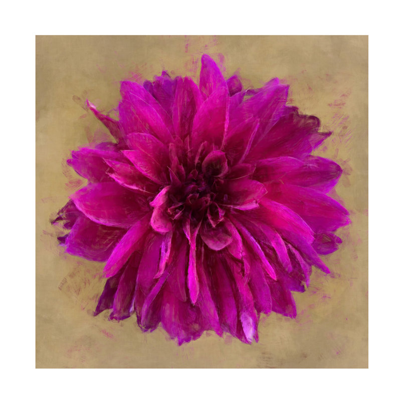 Art sur toile Emma Eve Cunningham Flower 2 - Magenta Dahlia, H 14 po x l 14 po
