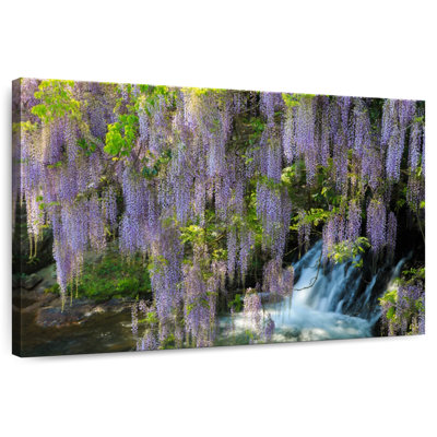 Harnek Wisteria Cascade
