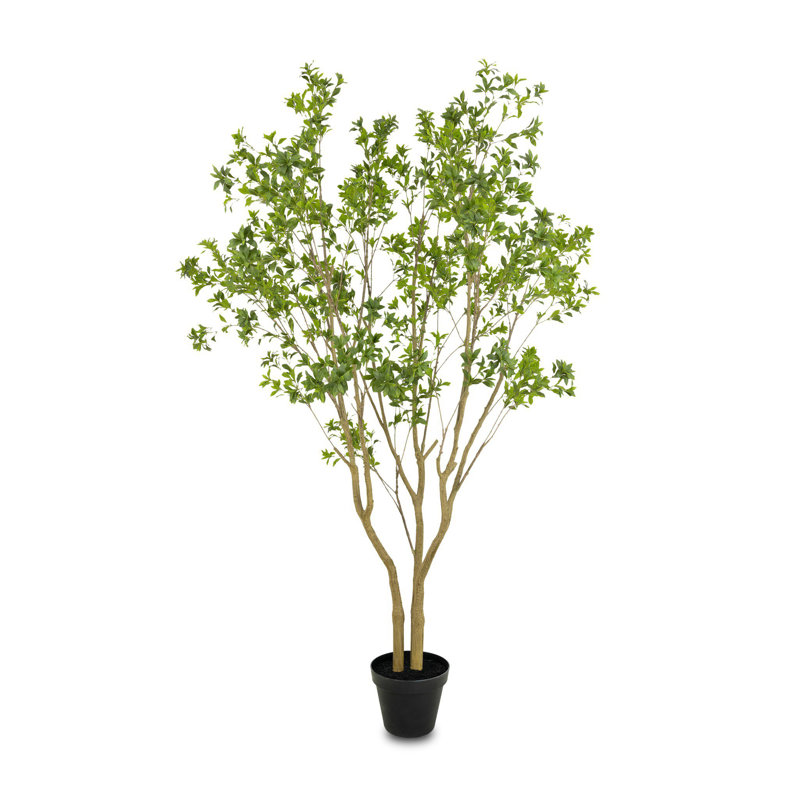 Faux Pieris Tree-Faux Pieris Tree-9.5', 116" H x 92" W