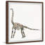 «Brachiosaurus Skeleton» par Silvio, reproduction encadrée-758241036