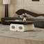 Table basse rectangulaire simple et moderne