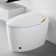 Unique Smart Toilet With Bidet Built In