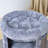 Nohoff 25.59'' H Cat Tree