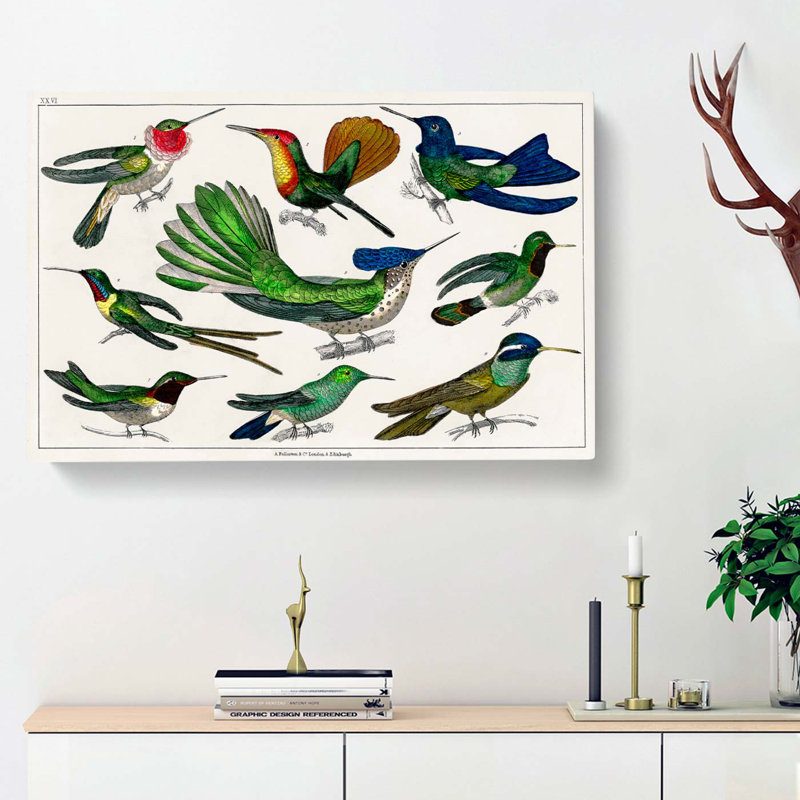 Collection Of Hummingbirds XXVI by Oliver Goldsmith - Wrapped Canvas Painting, 40cm H x 60cm W x 3cm D