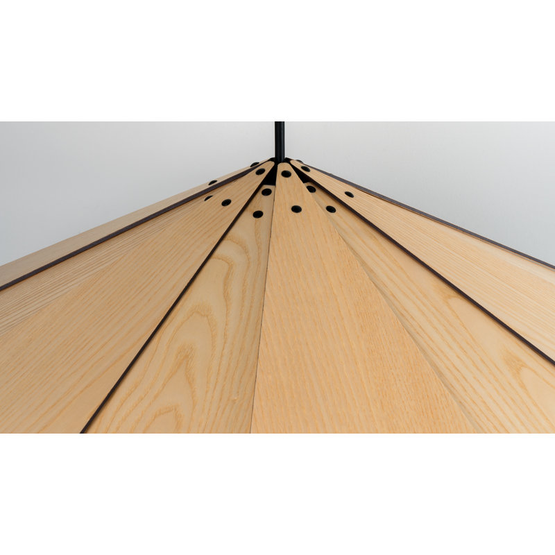 Sepal 1 - Light Cone LED Pendant