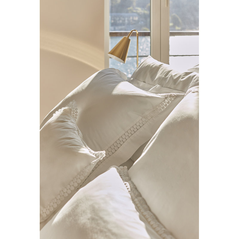 Magnolia_Shams, Euro, White