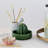 Cactus-Shaped Stoneware Juicer