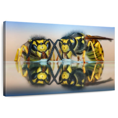 Brampt Two Wasps On Glass Table
