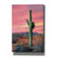 Union Rustic «Vibrant Cactus Sunset» par Lori Deiter-2129784125