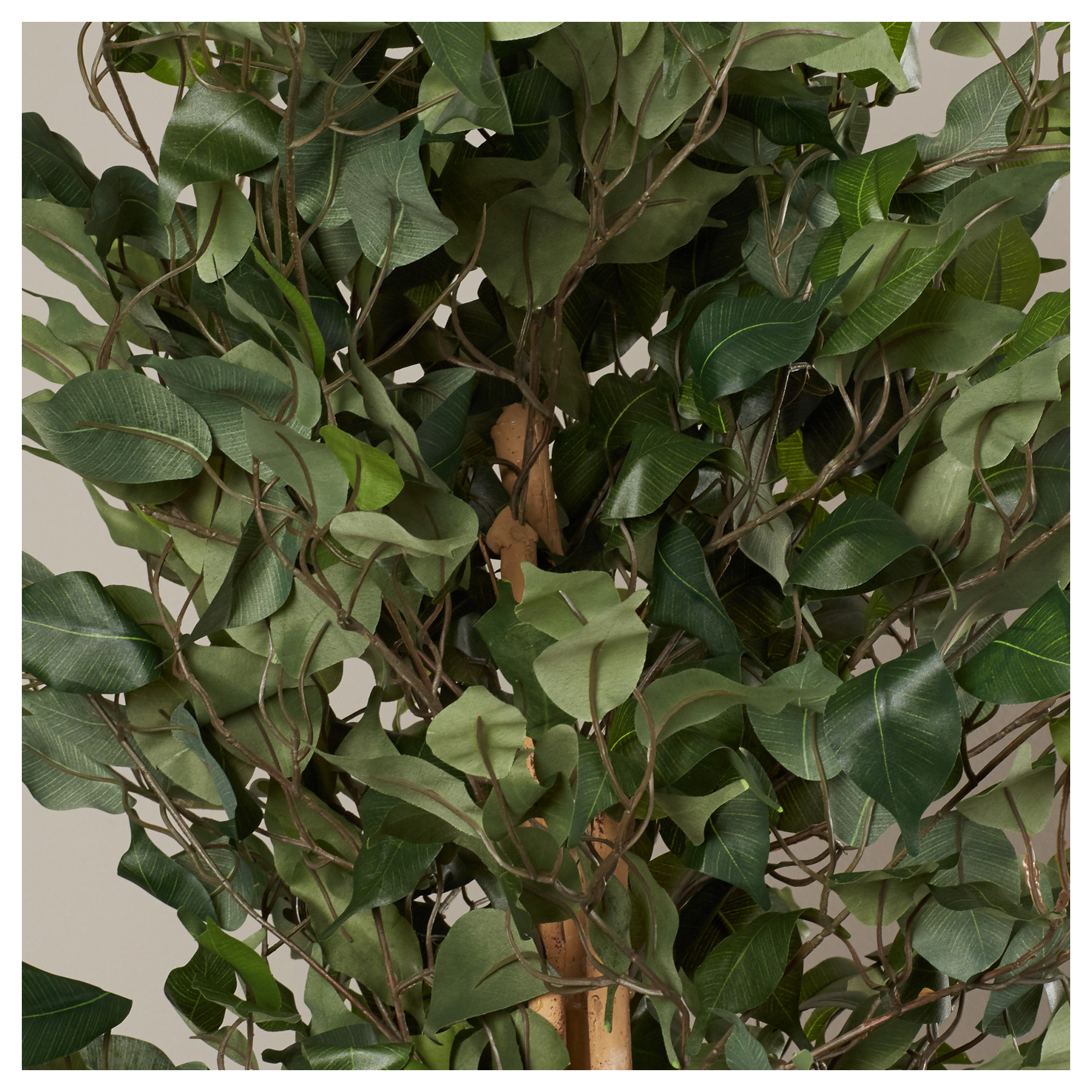 Faux Ficus Tree in Planter, 72" H x 35" W x 35" D