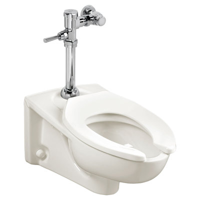 Afwall Flush 1.6 GPF Elongated Toilet Bowl