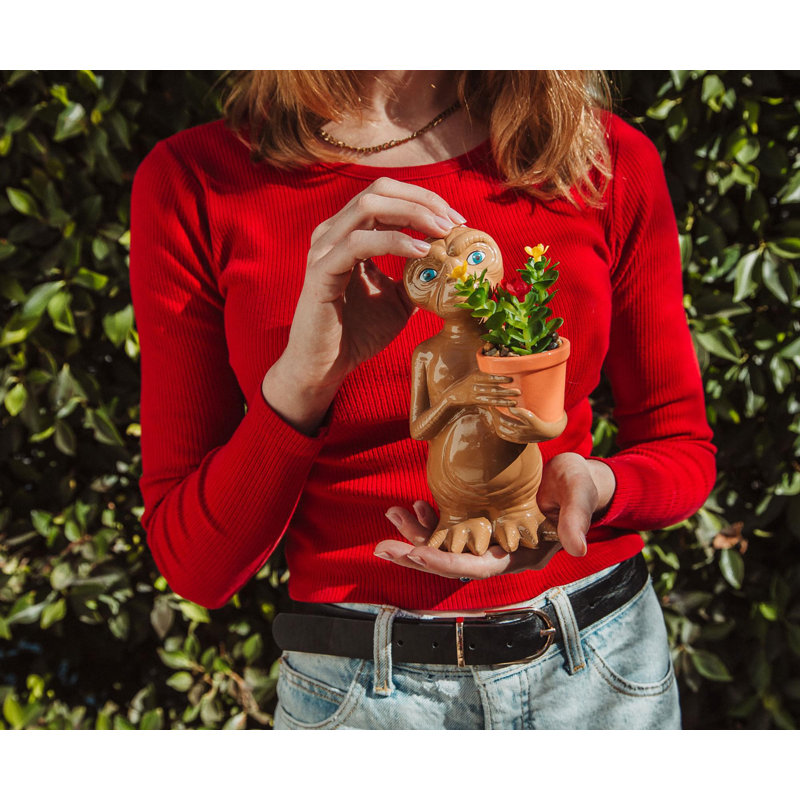 Topiaire 9 '' Faux Succulent
